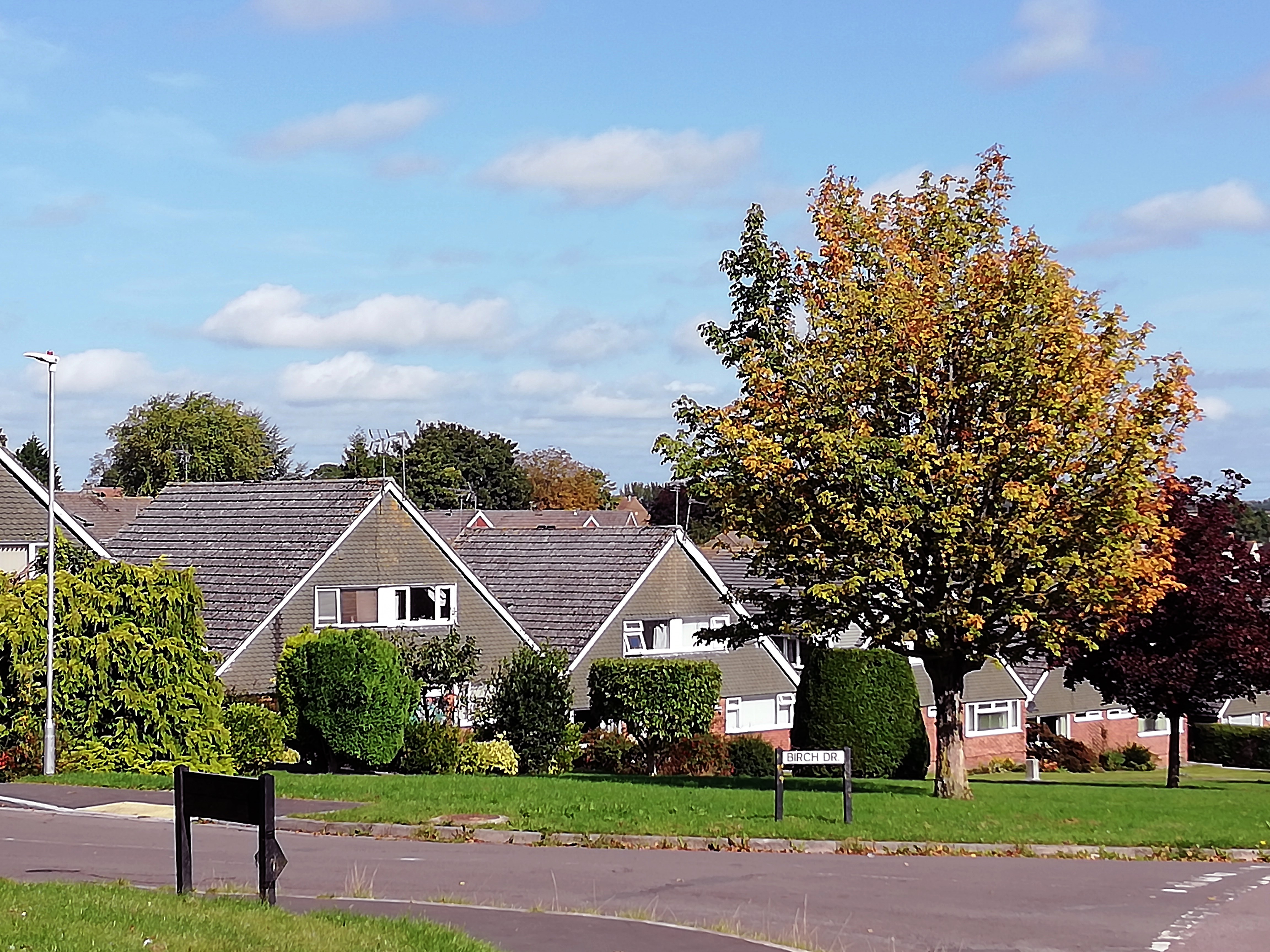 oaktree avenue